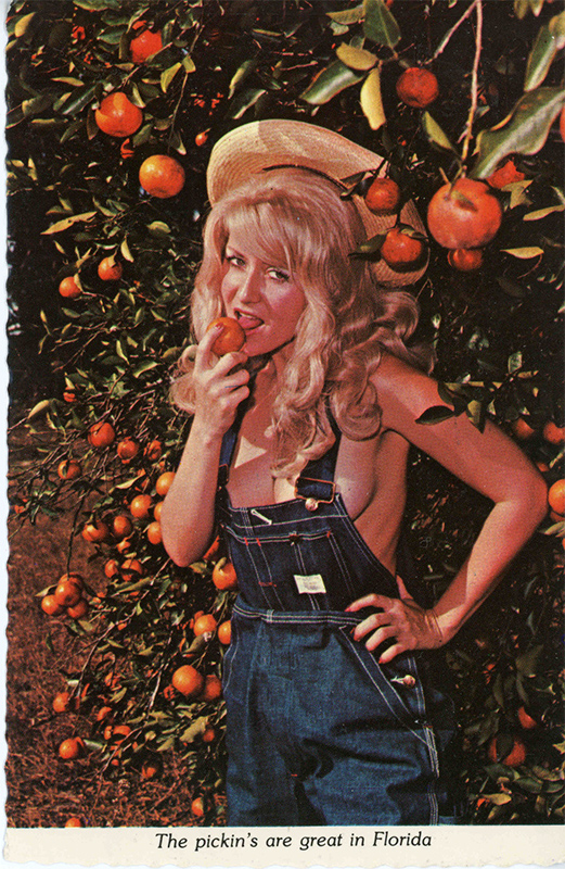 postcard